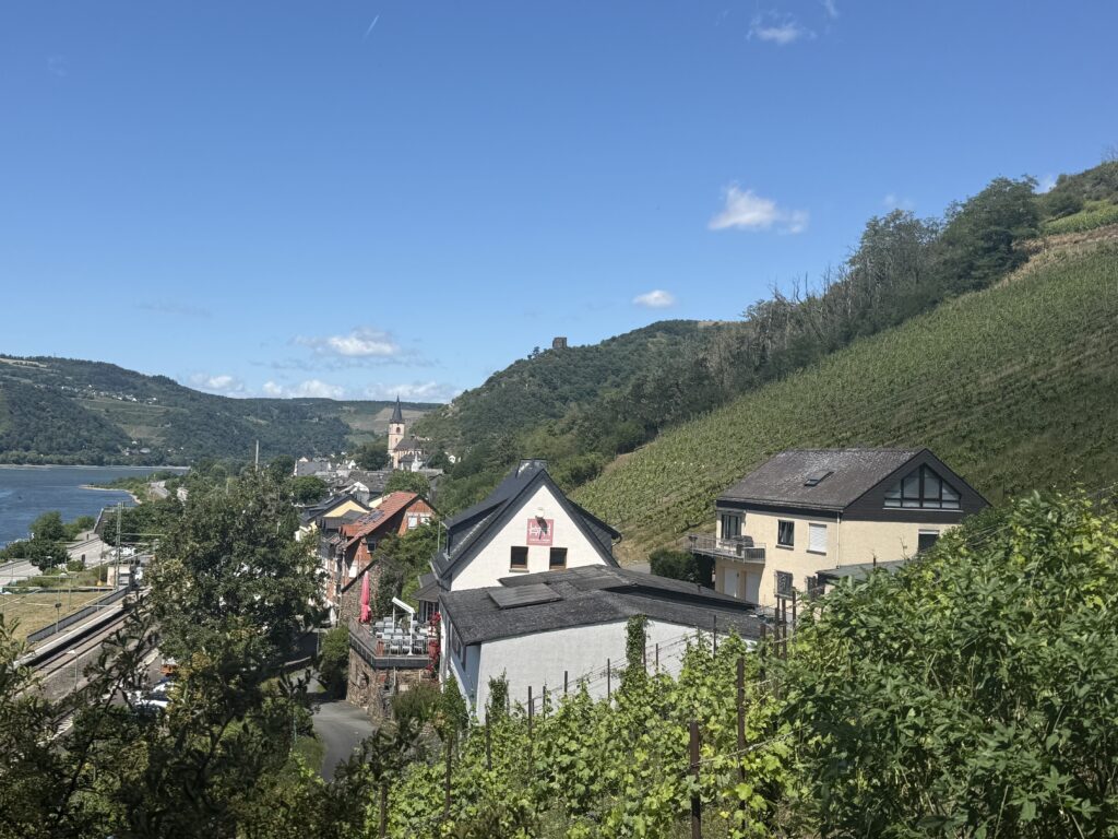 Sicht von FeWo