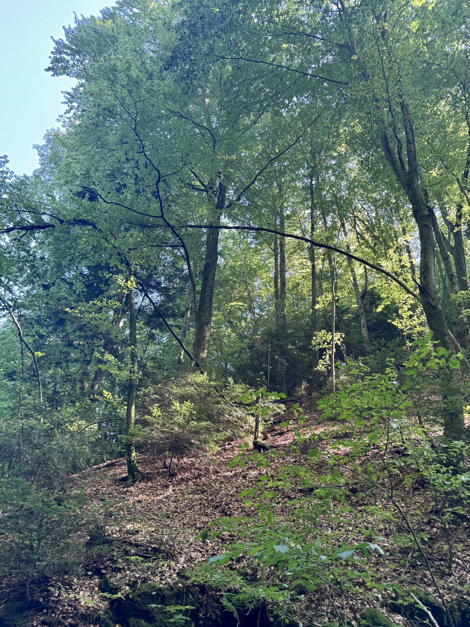 Wanderung durch die Heiligengeistklamm