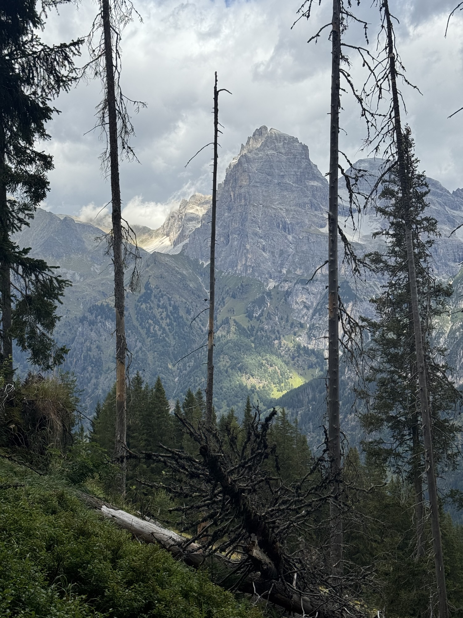 Wanderung von Ladurns zur Allriss-Alm